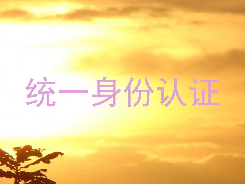 统一身份认证