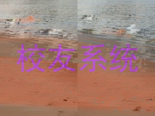 校友系统