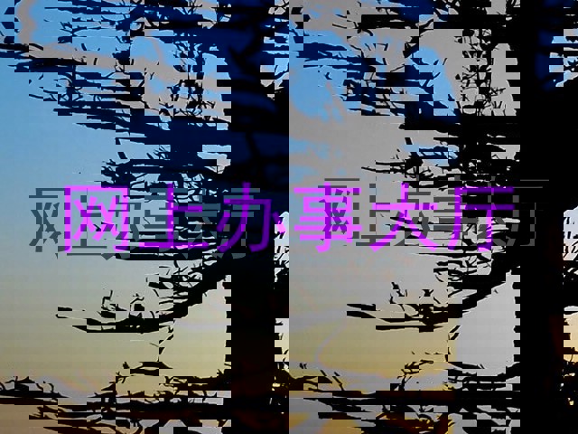 网上办事大厅