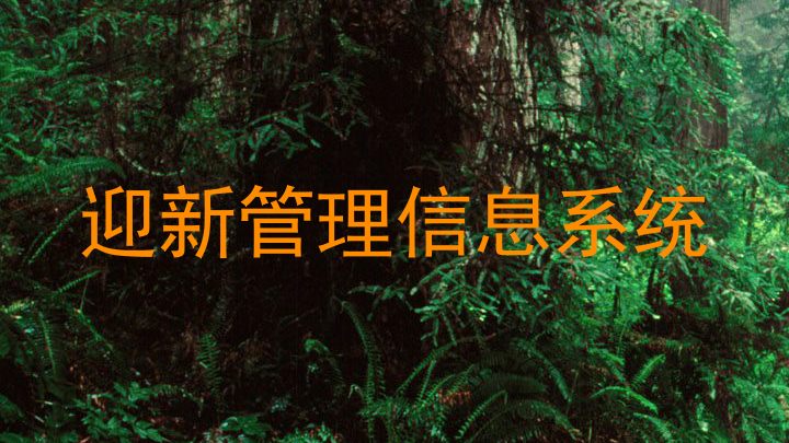 迎新管理信息系统