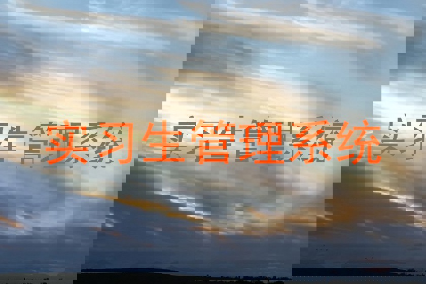 实习生管理系统