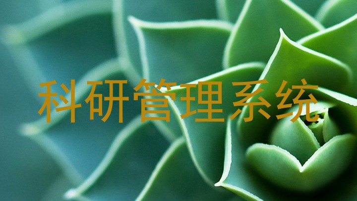 科研管理系统
