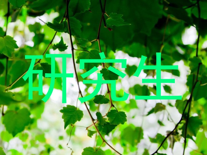 研究生