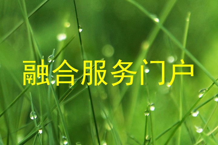 融合服务门户
