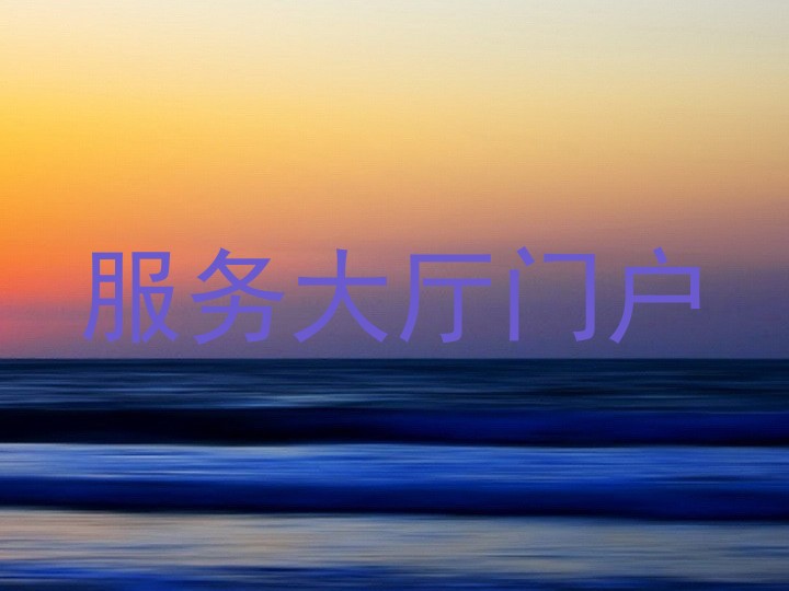 服务大厅门户