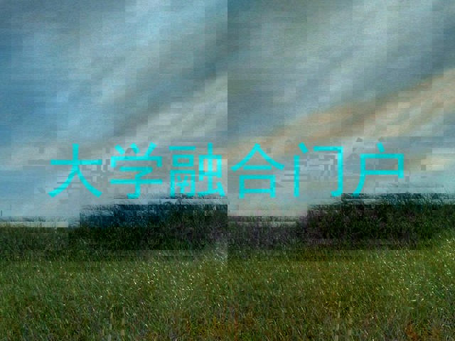 大学融合门户