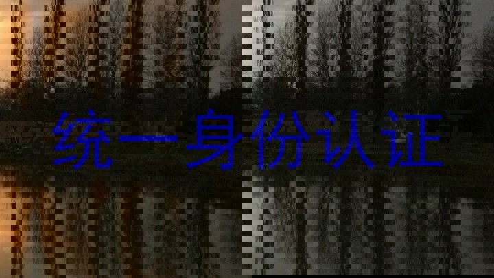 统一身份认证