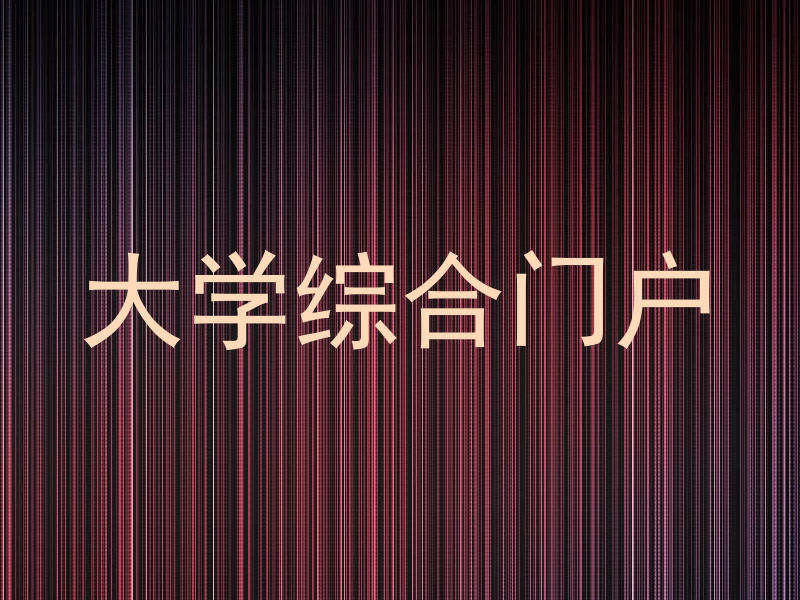 大学综合门户