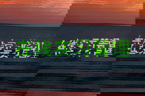 在线实习管理