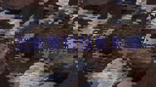 迎新管理信息系统