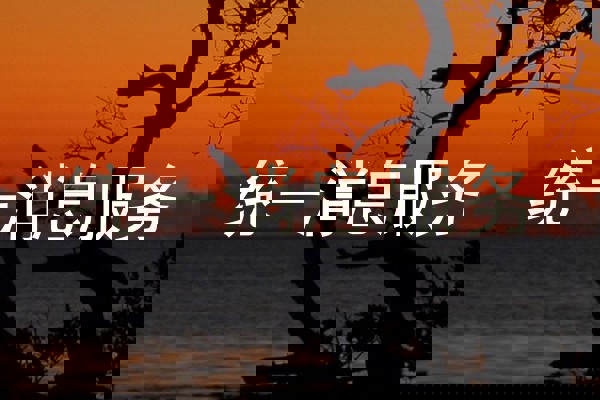 统一消息服务