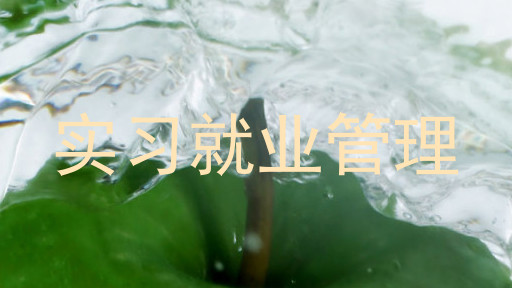 实习就业管理