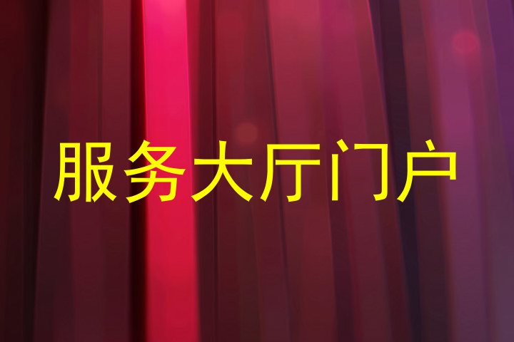 服务大厅门户