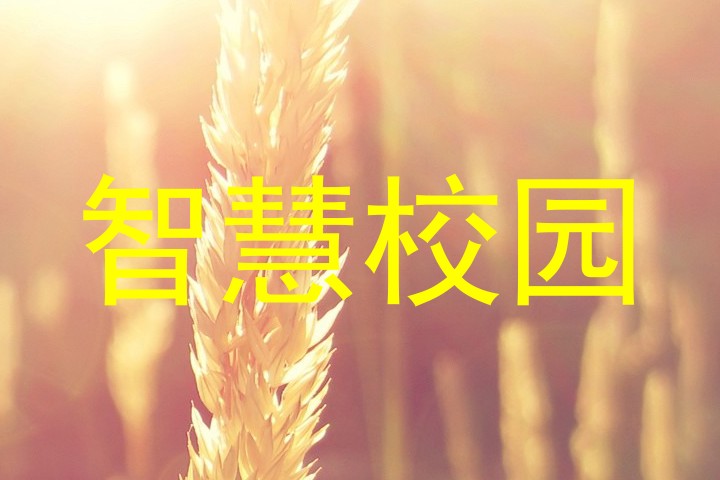 智慧校园