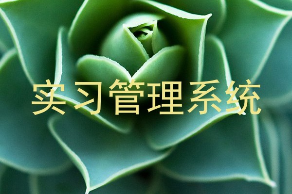 实习管理系统