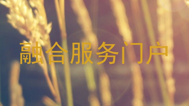 融合服务门户