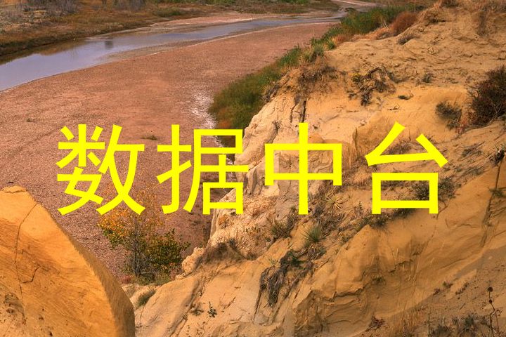 数据中台