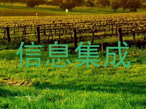 信息集成