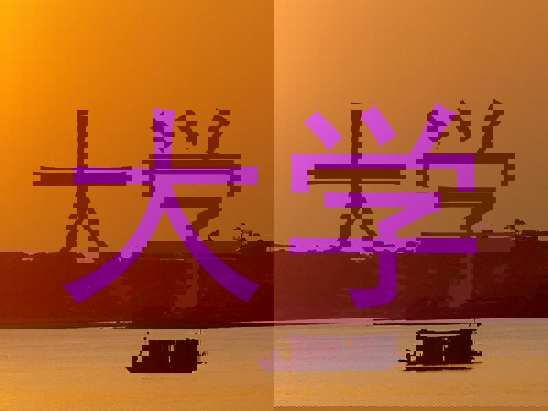 大学