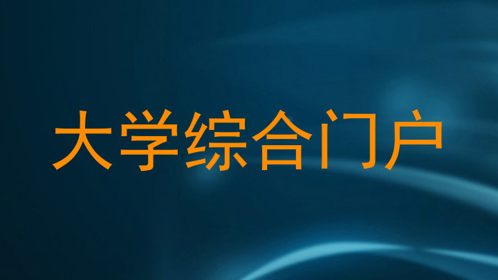 大学综合门户