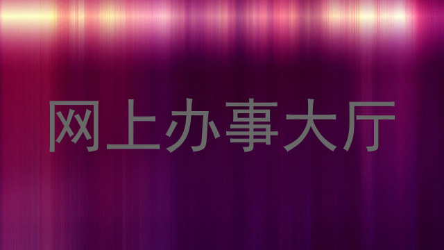 网上办事大厅