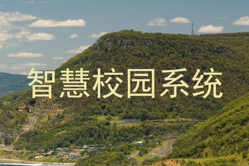 智慧校园系统