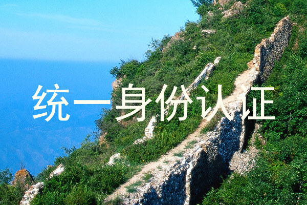 统一身份认证