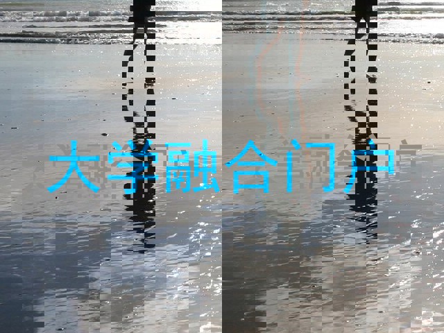 大学融合门户