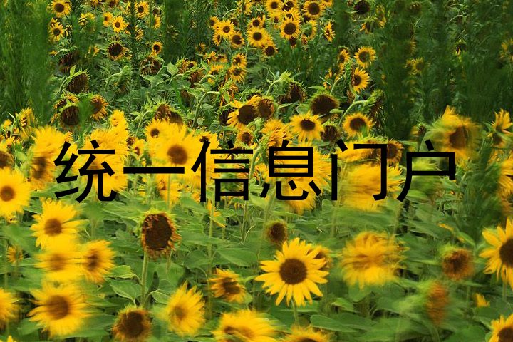 统一信息门户