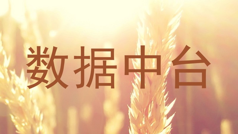 数据中台