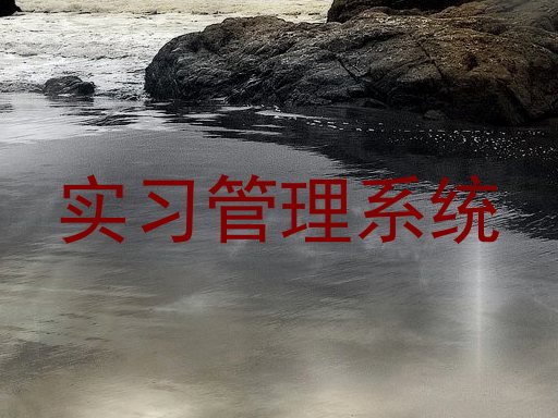 实习管理系统