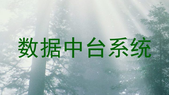 数据中台系统