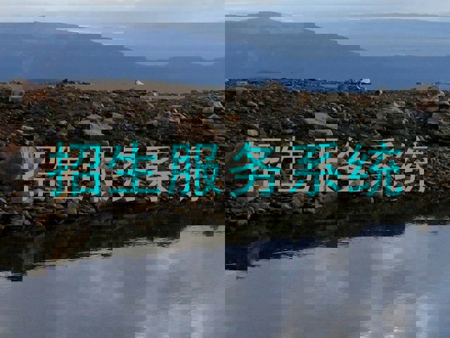 招生服务系统