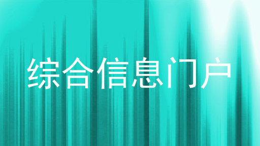 综合信息门户