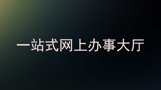 一站式网上办事大厅
