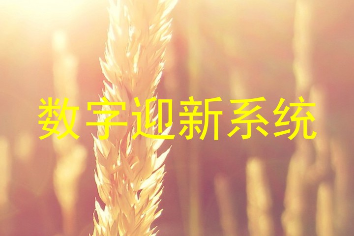 数字迎新系统