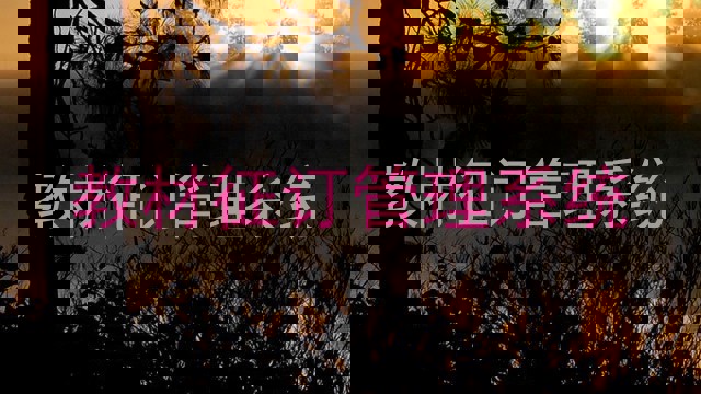 教材征订管理系统