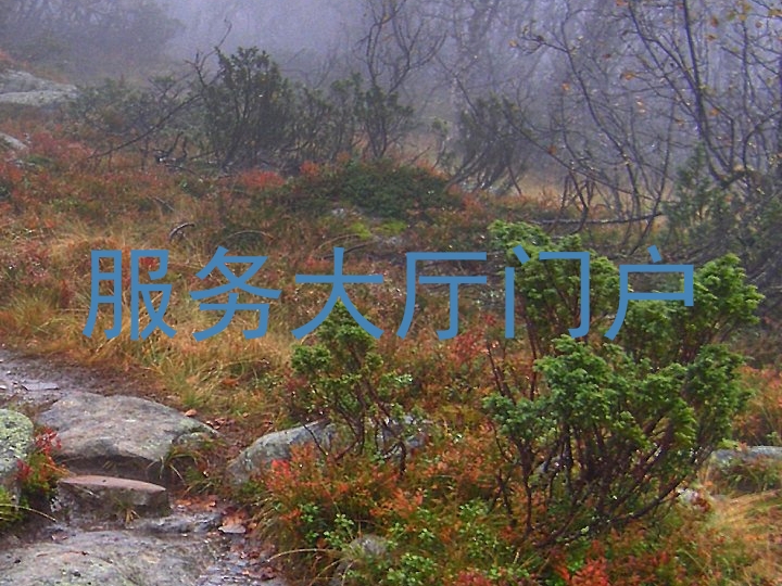 服务大厅门户