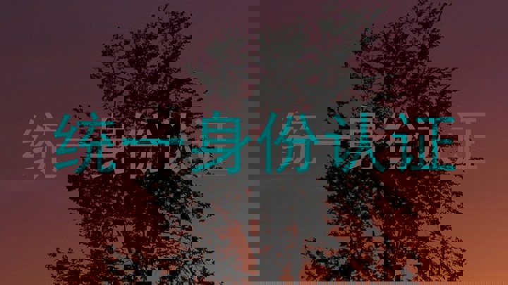 统一身份认证