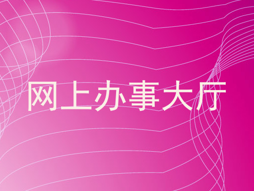 网上办事大厅