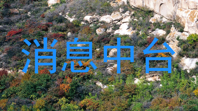消息中台