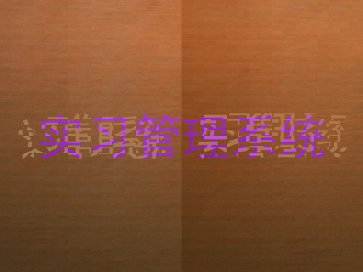 实习管理系统