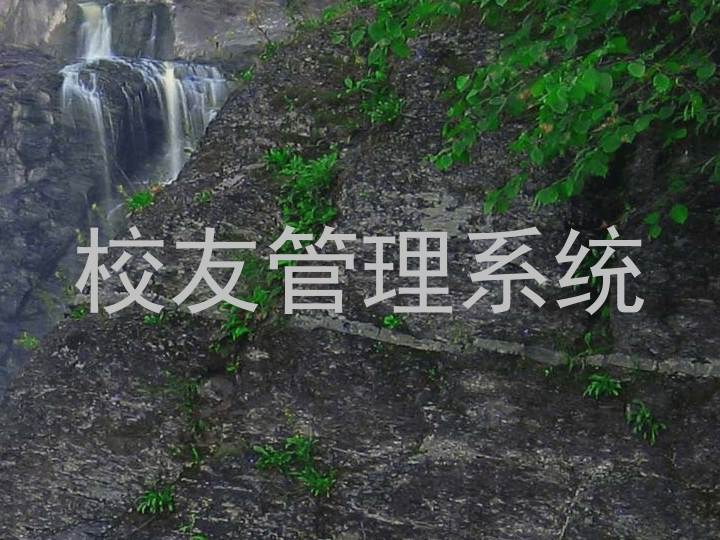 校友管理系统