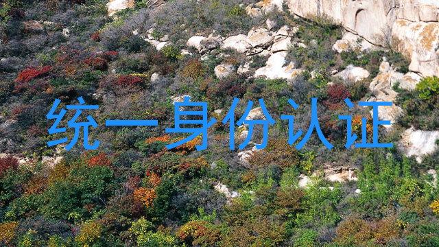 统一身份认证