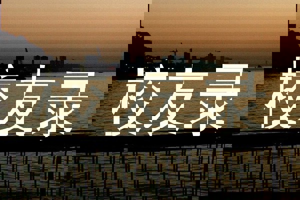 校友录
