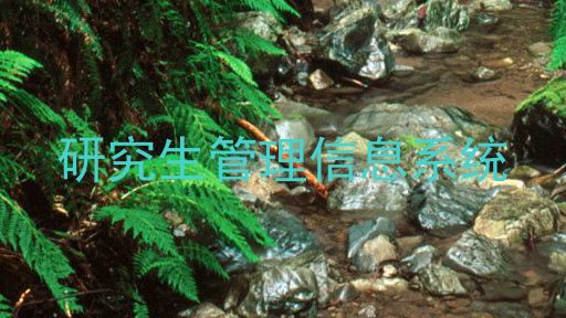 研究生管理信息系统