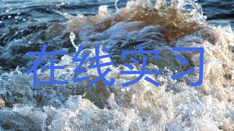 在线实习