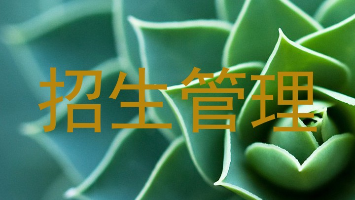 招生管理