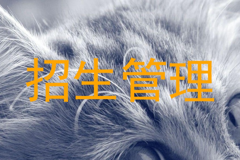 招生管理