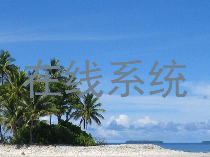 在线系统